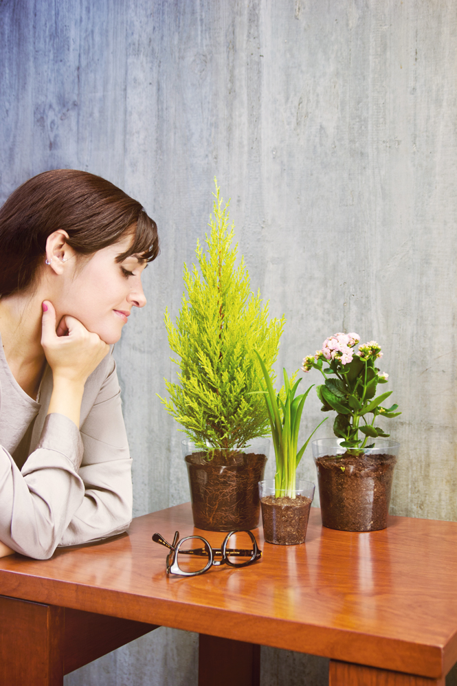 Projecto Remix – Vasos Transparentes