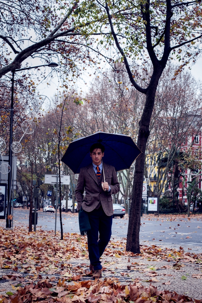 Winter in Avenue – 1