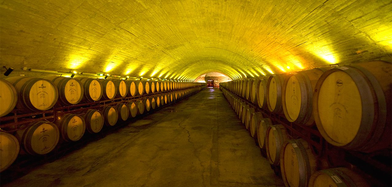 Vinhos especiais para momentos especiais