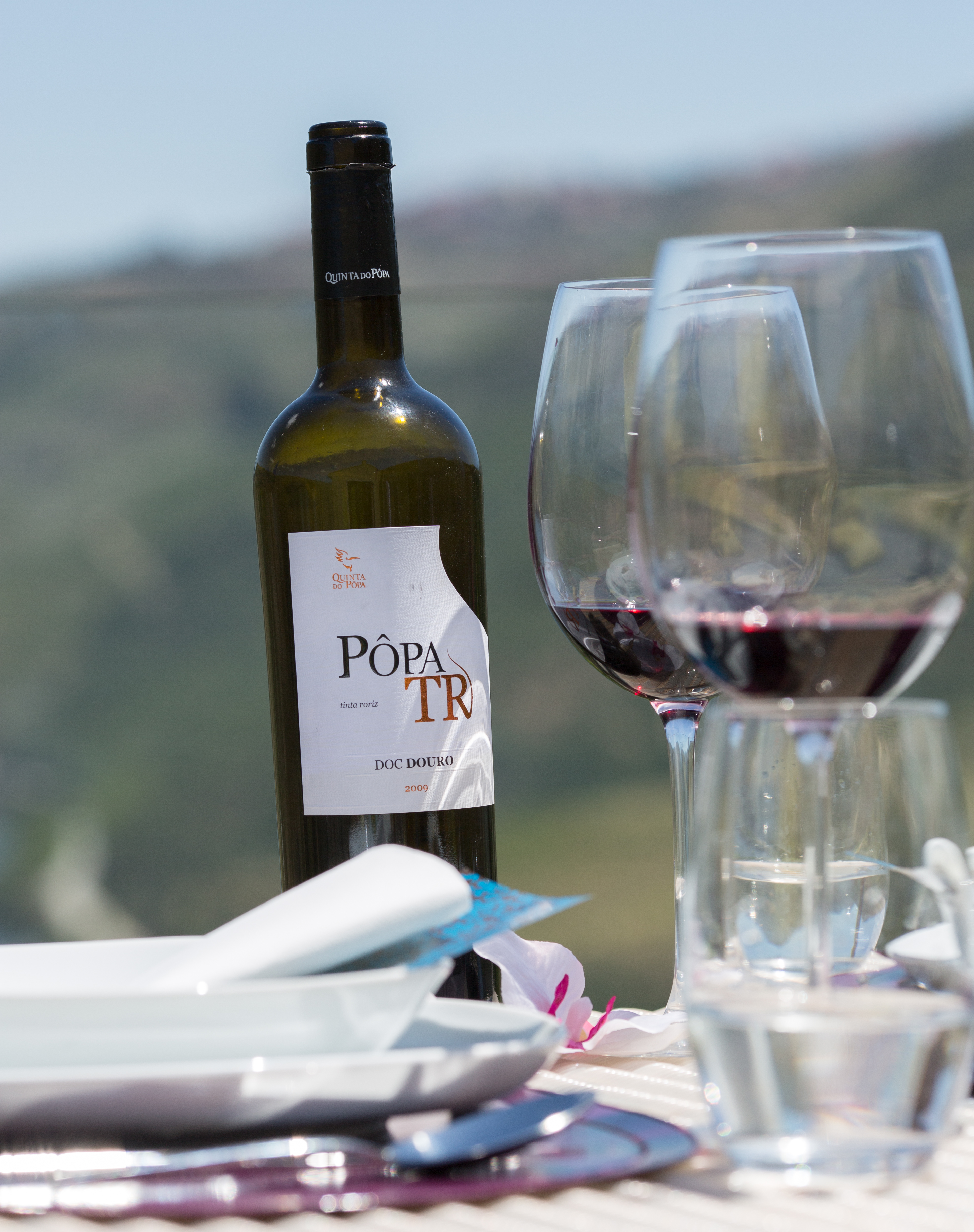 Diários do Douro – Quinta do Pôpa