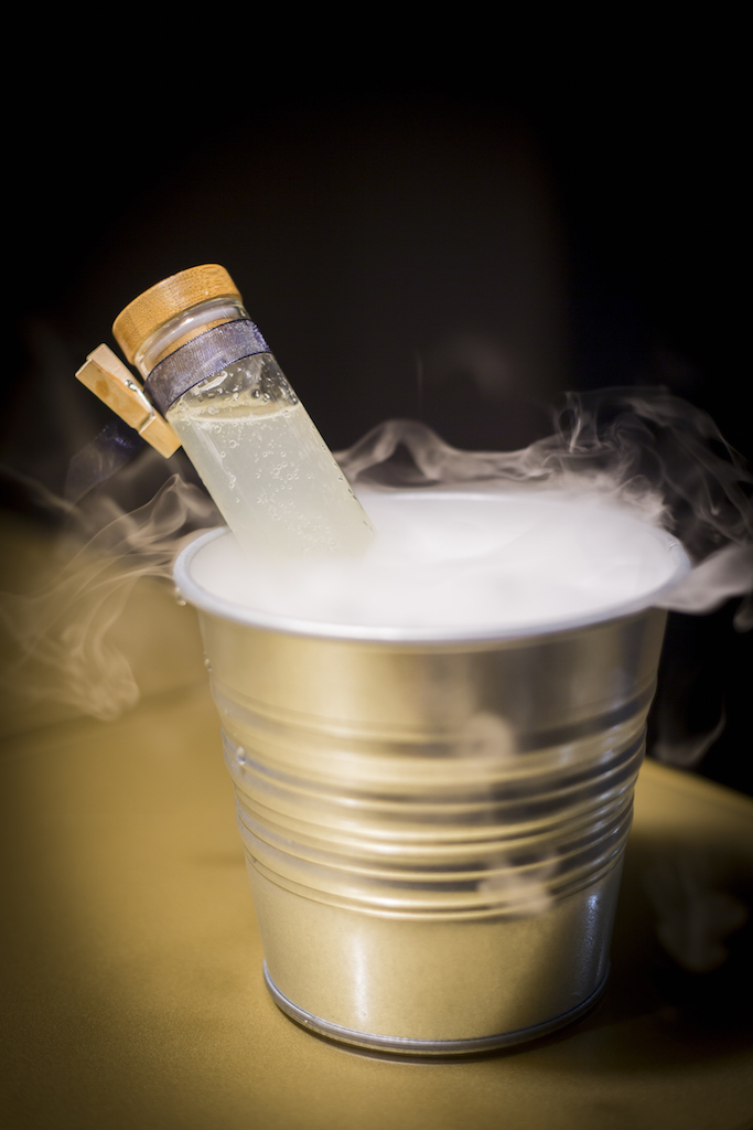 5 surpresas de Lisboa em 2015