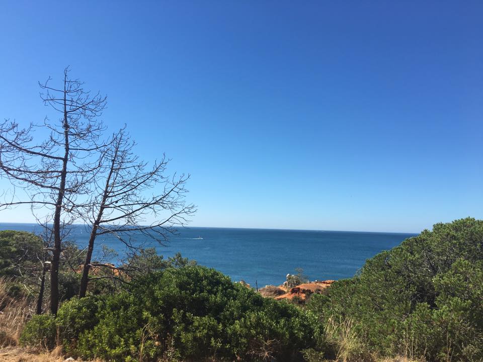 Crónicas do Reino dos Algarves – NAU