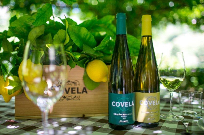 Verão mais fresco com vinhos da Covela