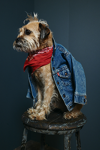 Festas Felizes em ganga