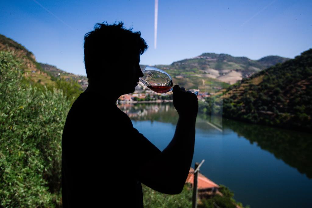 Vamos participar nas vindimas?