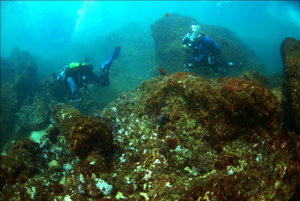 Patrimónios Submersos de Cascais