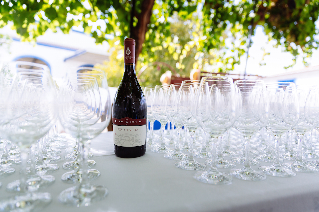 Visita à Adega José de Sousa