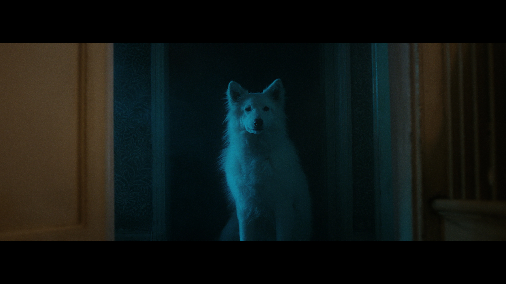 Os Vencedores do MOTELX 2017