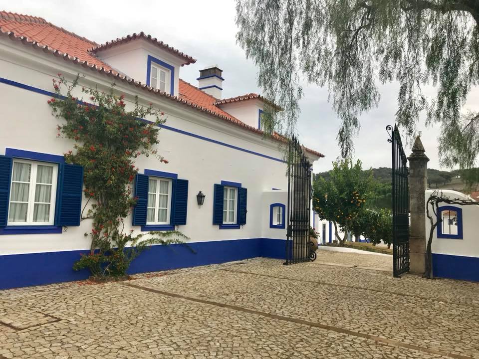 Vinhos modernos e frescos do Alentejo