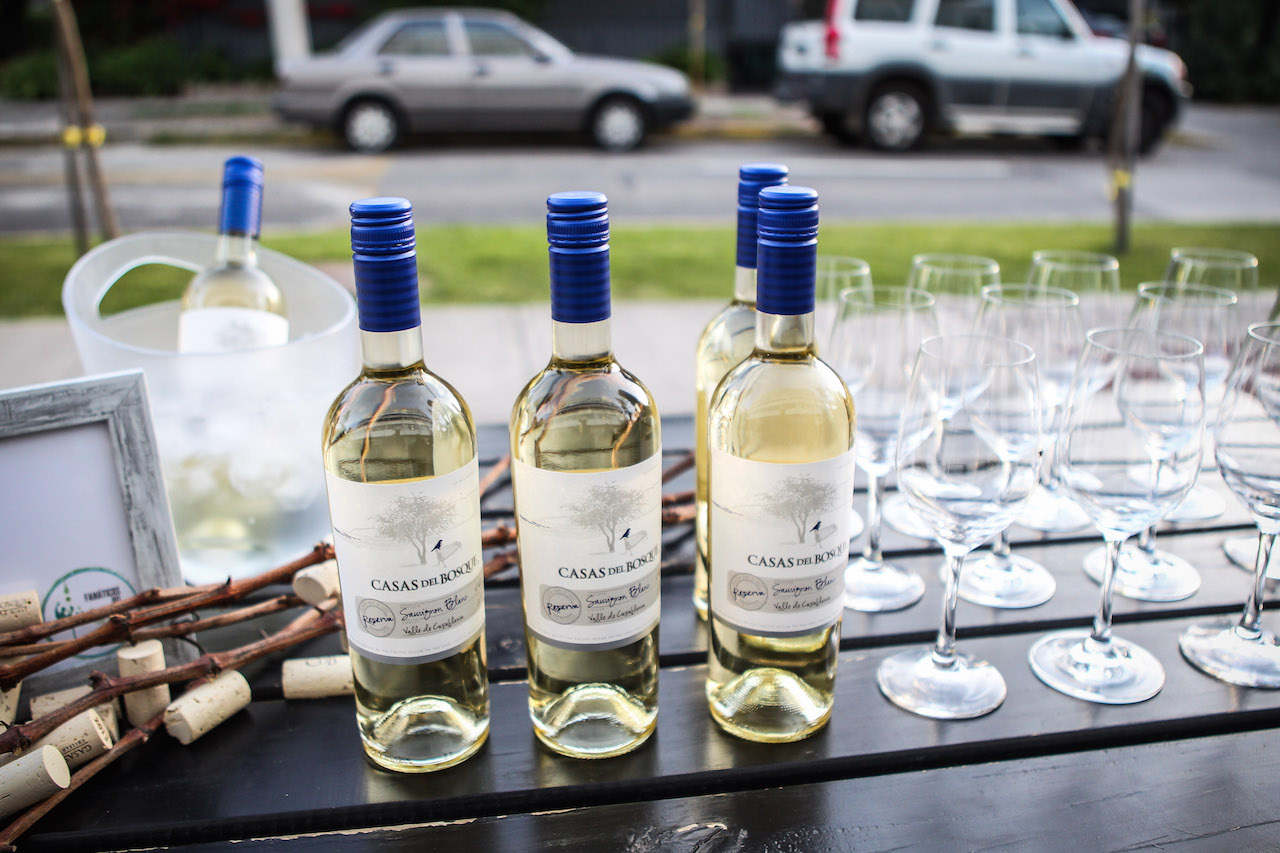 Vinho do Chile, experimentámos e aprovado