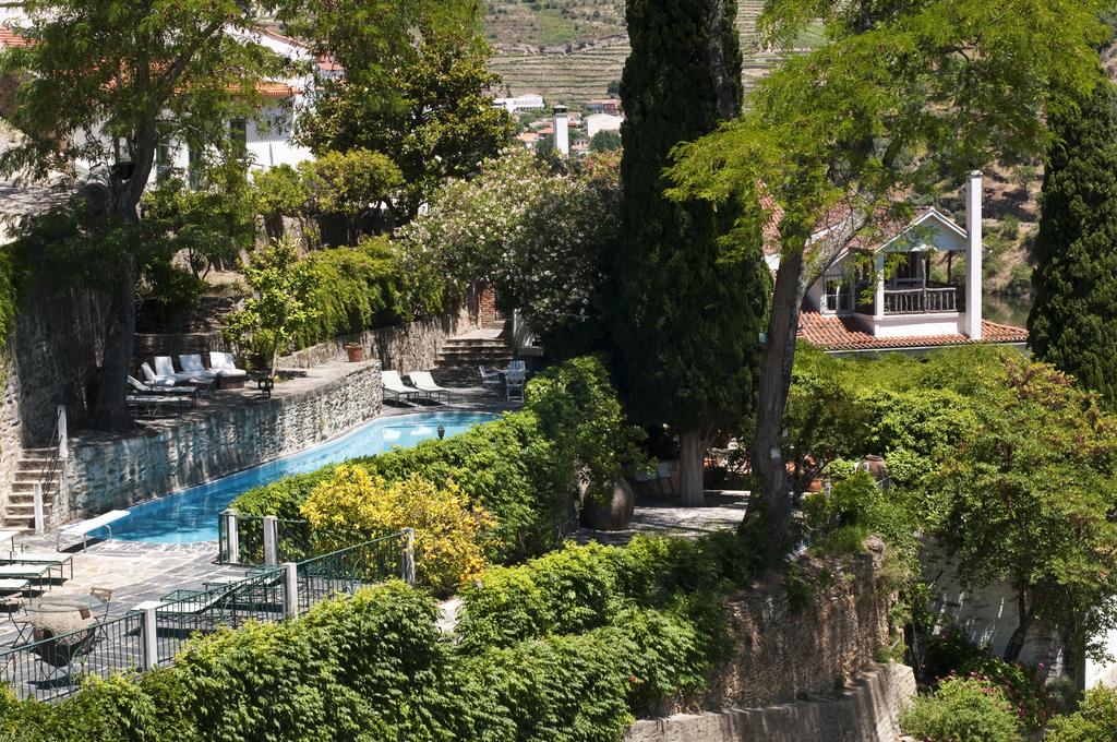 Boas recordações do Douro e das vinhas