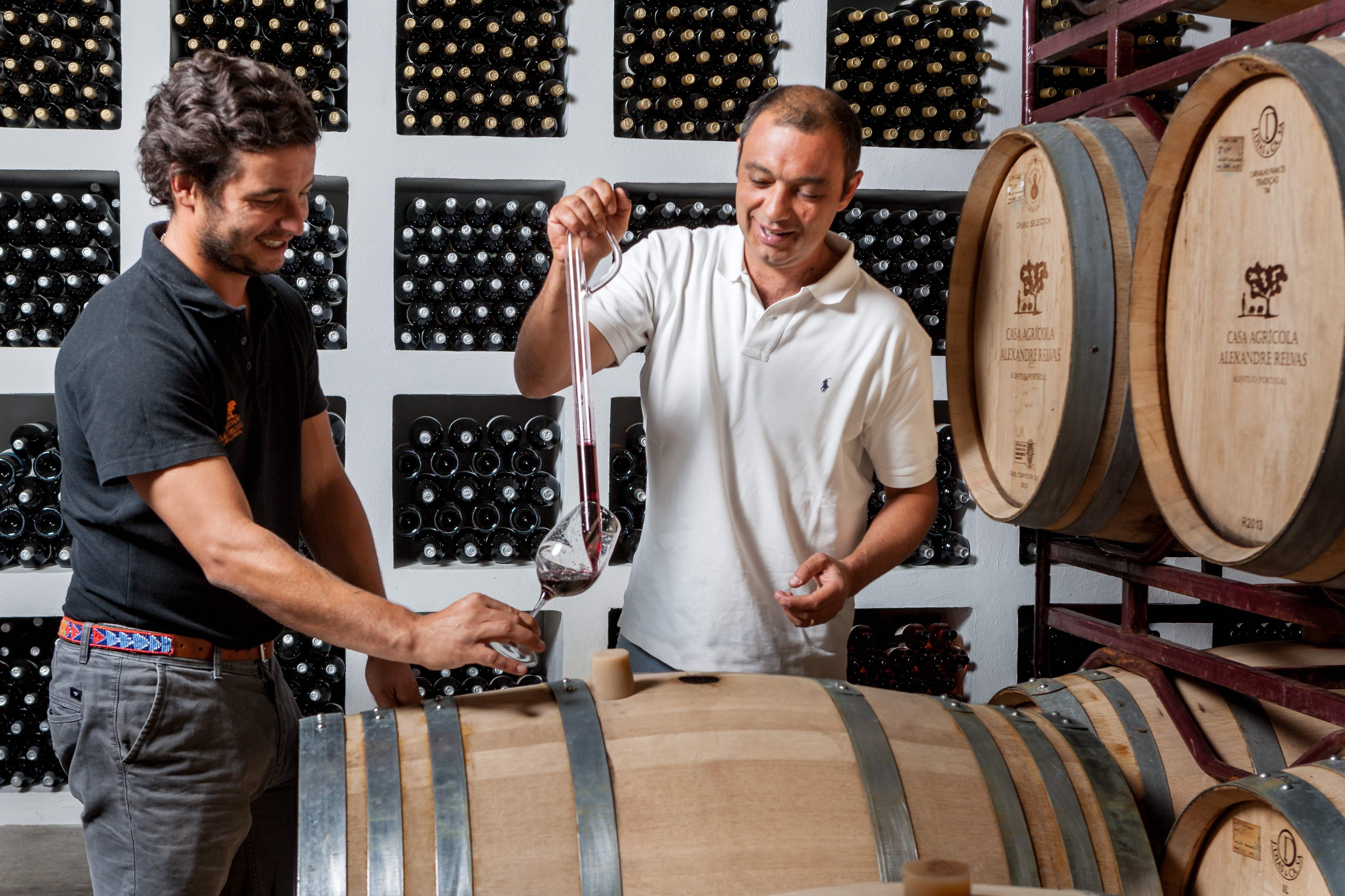 Dia de São Martinho, celebra-se com bom vinho