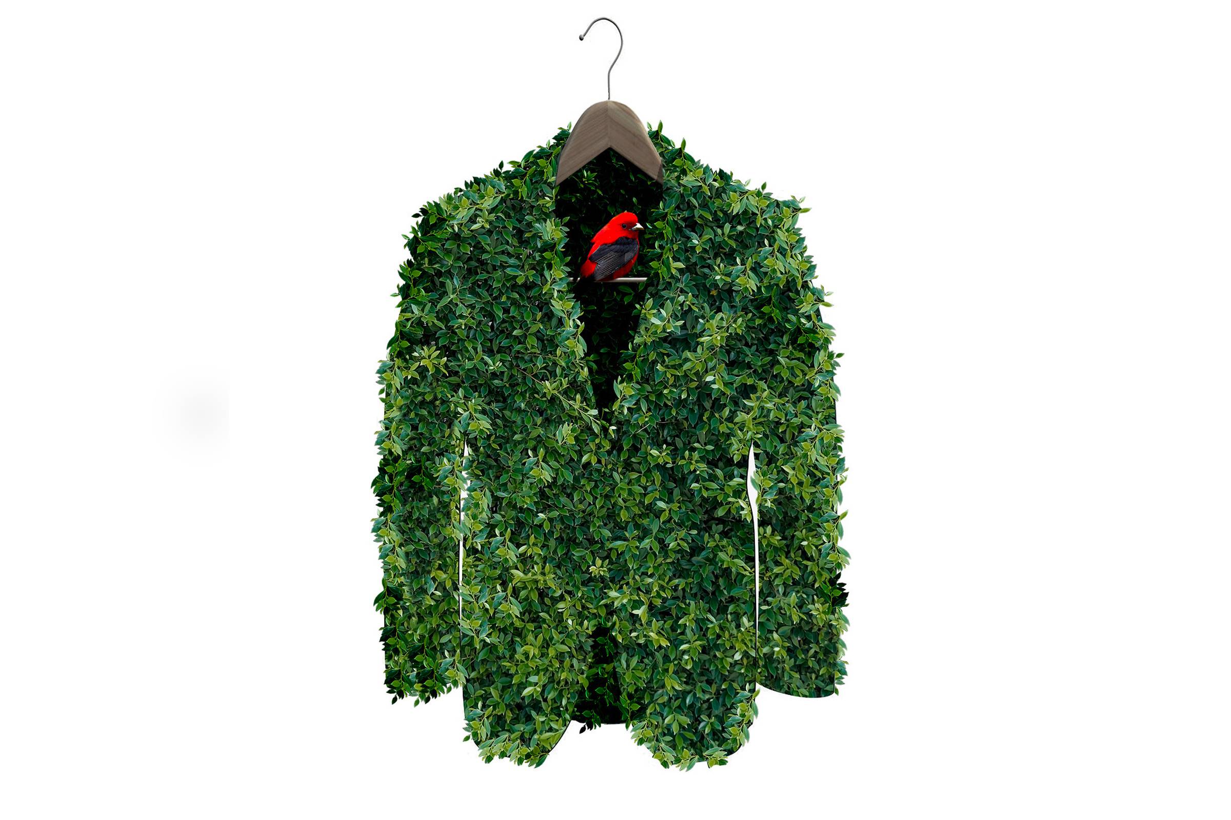 Falemos de sustentabilidade na Moda