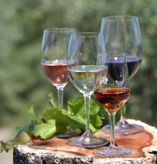 Vinhos da Península de Setúbal em nossa casa