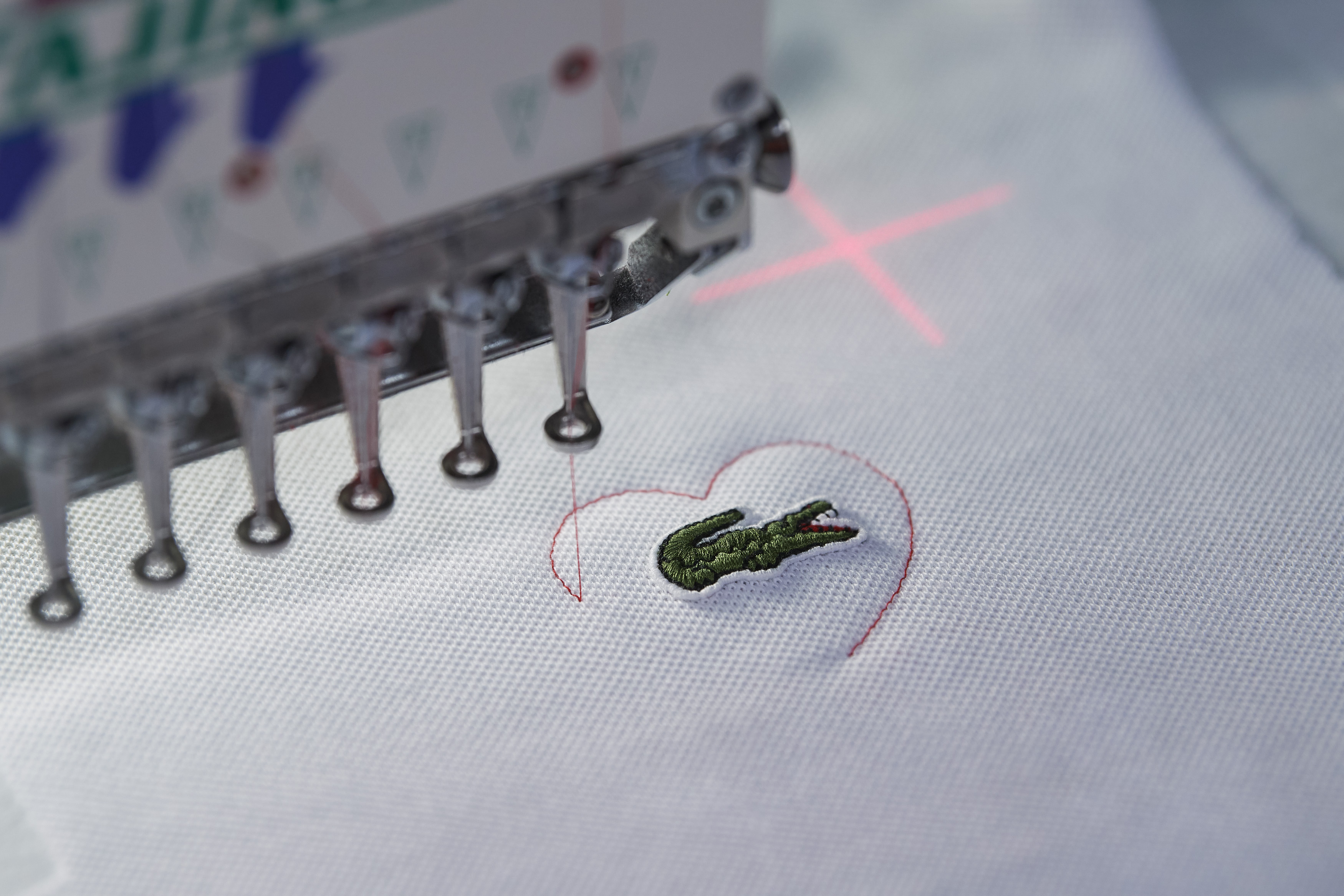 O crocodilo do lado do coração