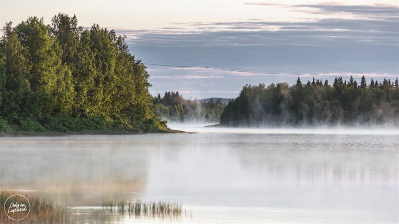 Reuniões online menos aborrecidas