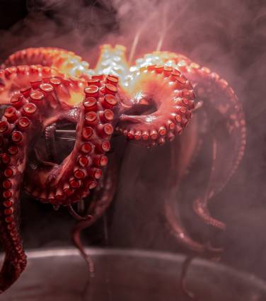 Quinzena Gastronómica do Polvo da Lourinhã