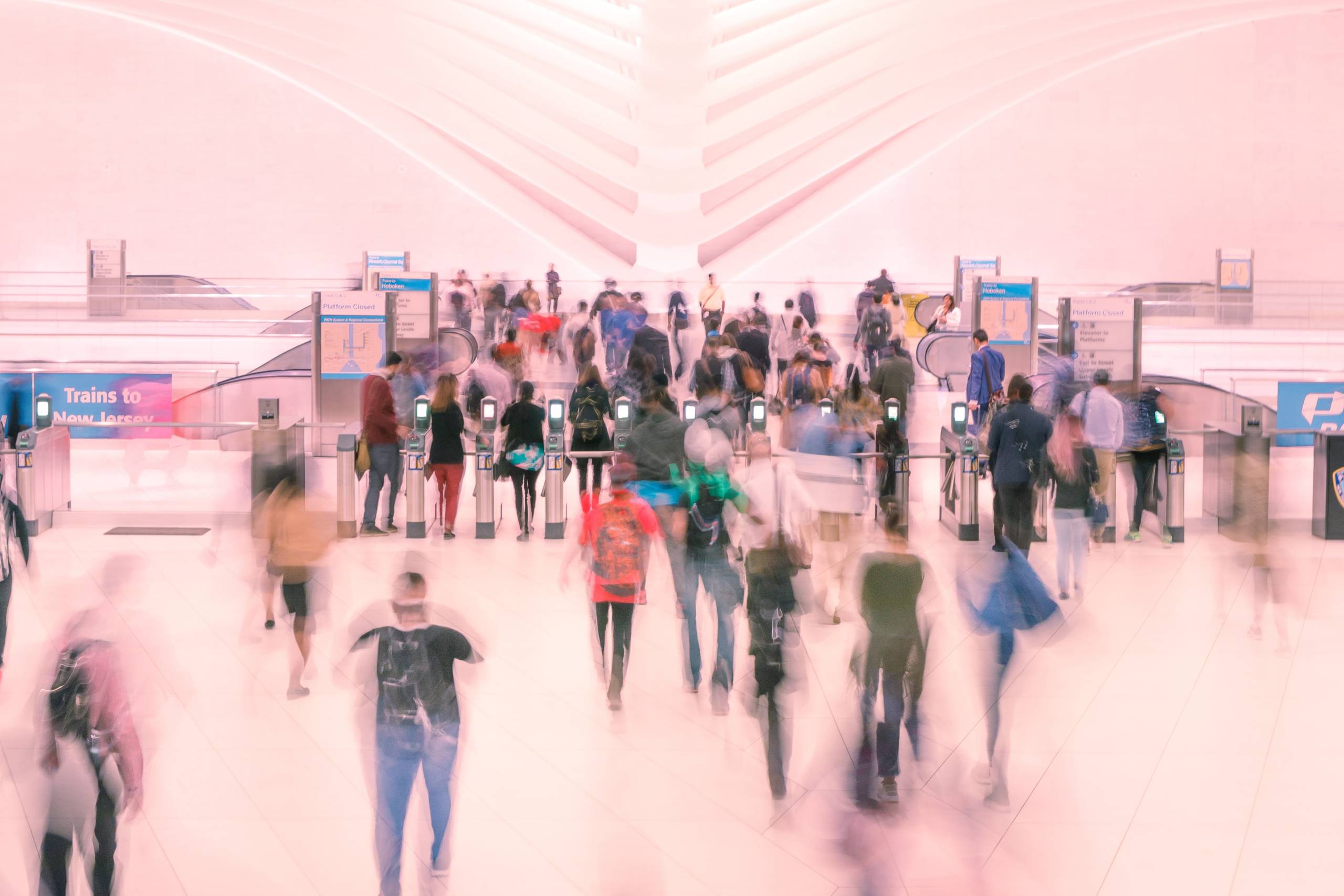 Sustentabilidade no Dia Mundial do Meio Ambiente 2021