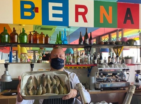 Dr. Bernard e Palms com novidades