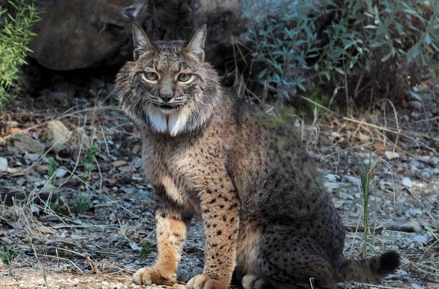 8 de Agosto – Breves Notícias de Domingo