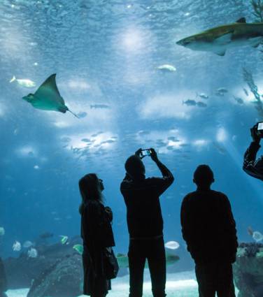 Oceanário