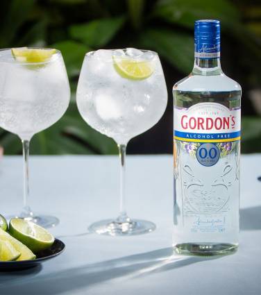 Gin sem álcool? Existe, sim!