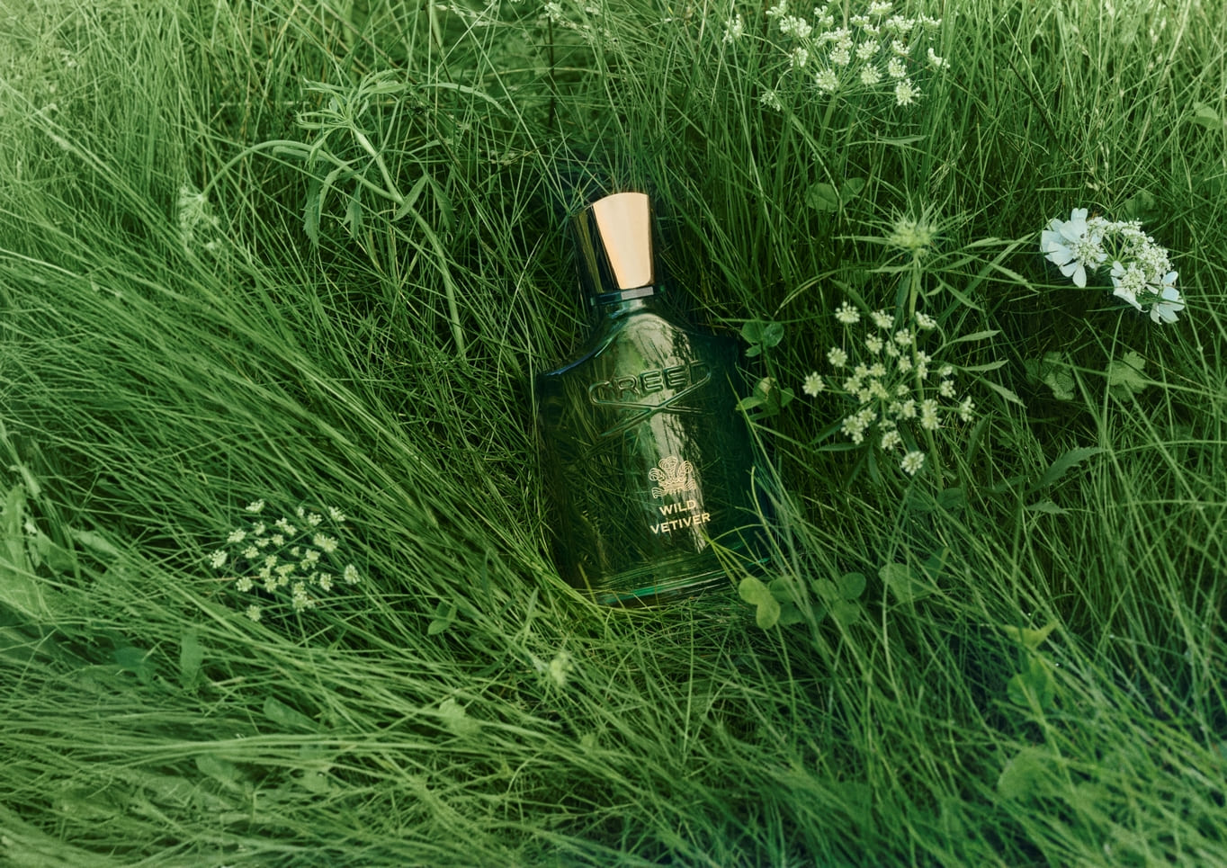 Wild Vetiver fragrância, novidade da Creed