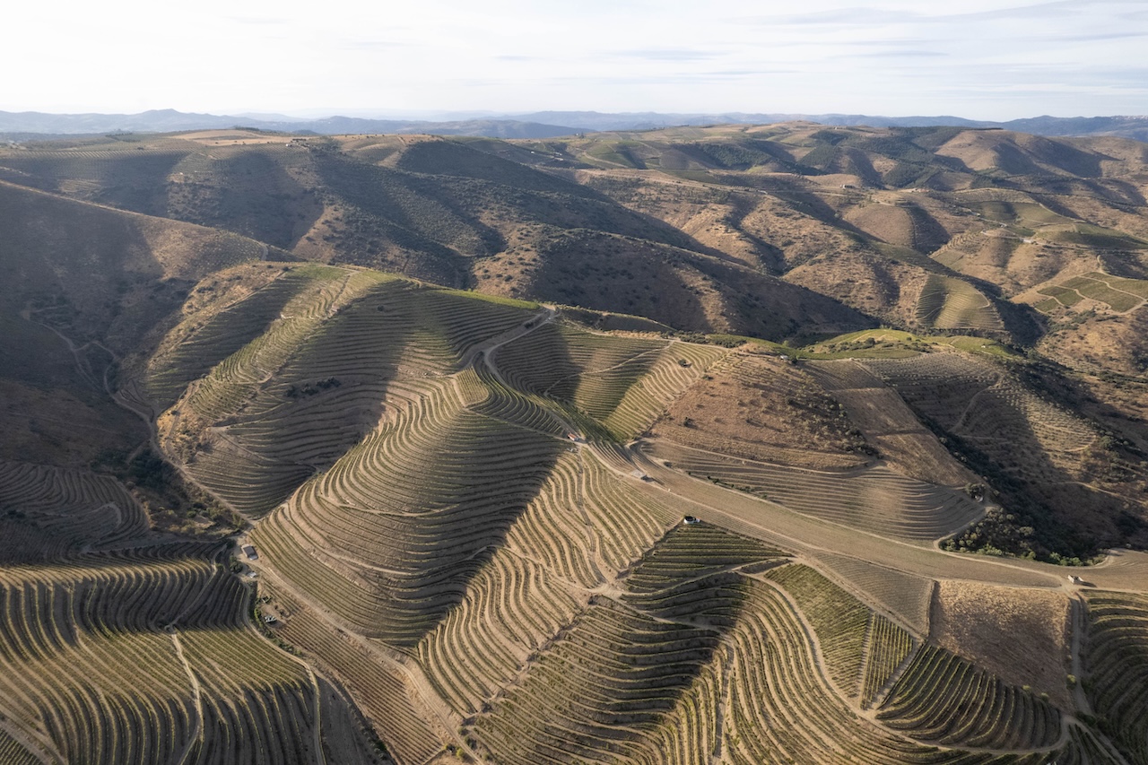 Callabriga Branco 2025: uma nova expressão do Douro Superior